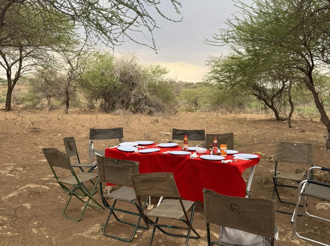 Visit Natives-Kautokeino必去景点