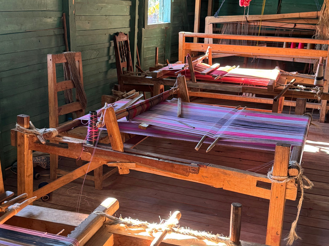 Viro Nomads Travel Co.-Ranomafana必去景点