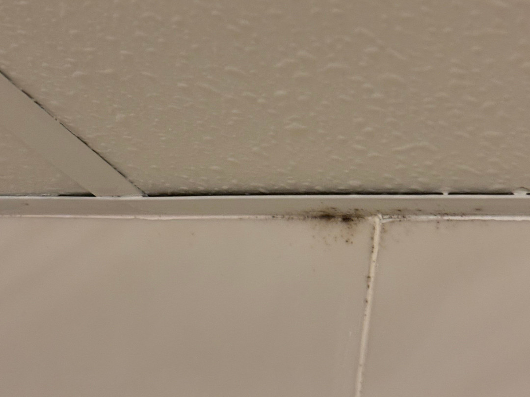 Econo Lodge Corinth主图