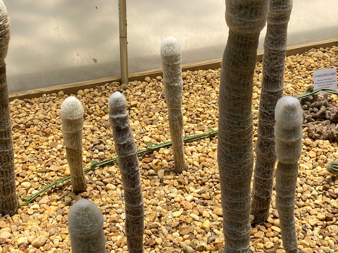 Cedar Lakes Woods & Gardens-Williston必去景点