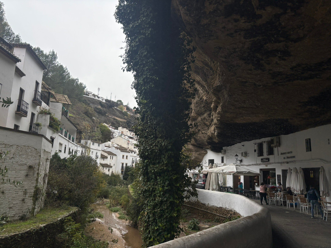 Calle Cueva Del Sol-Setenil de las Bodegas必去景点