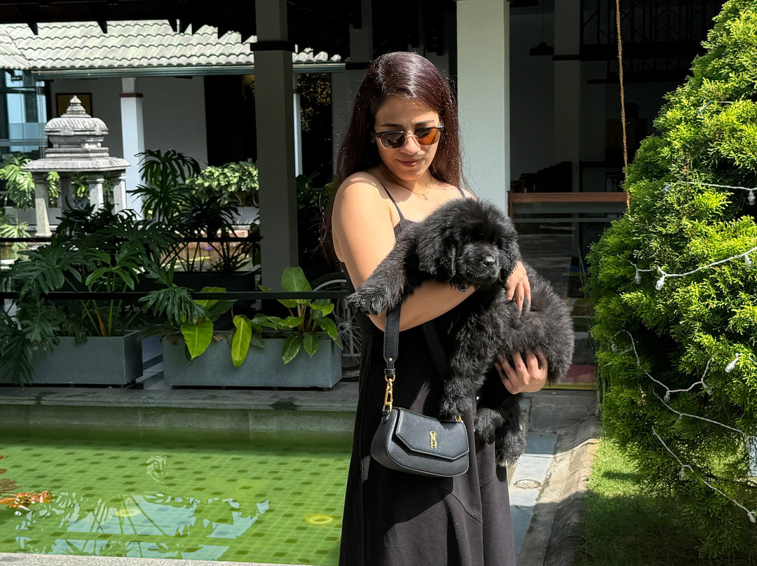 GReaT Trails Wayanad By GRT Hotels主图