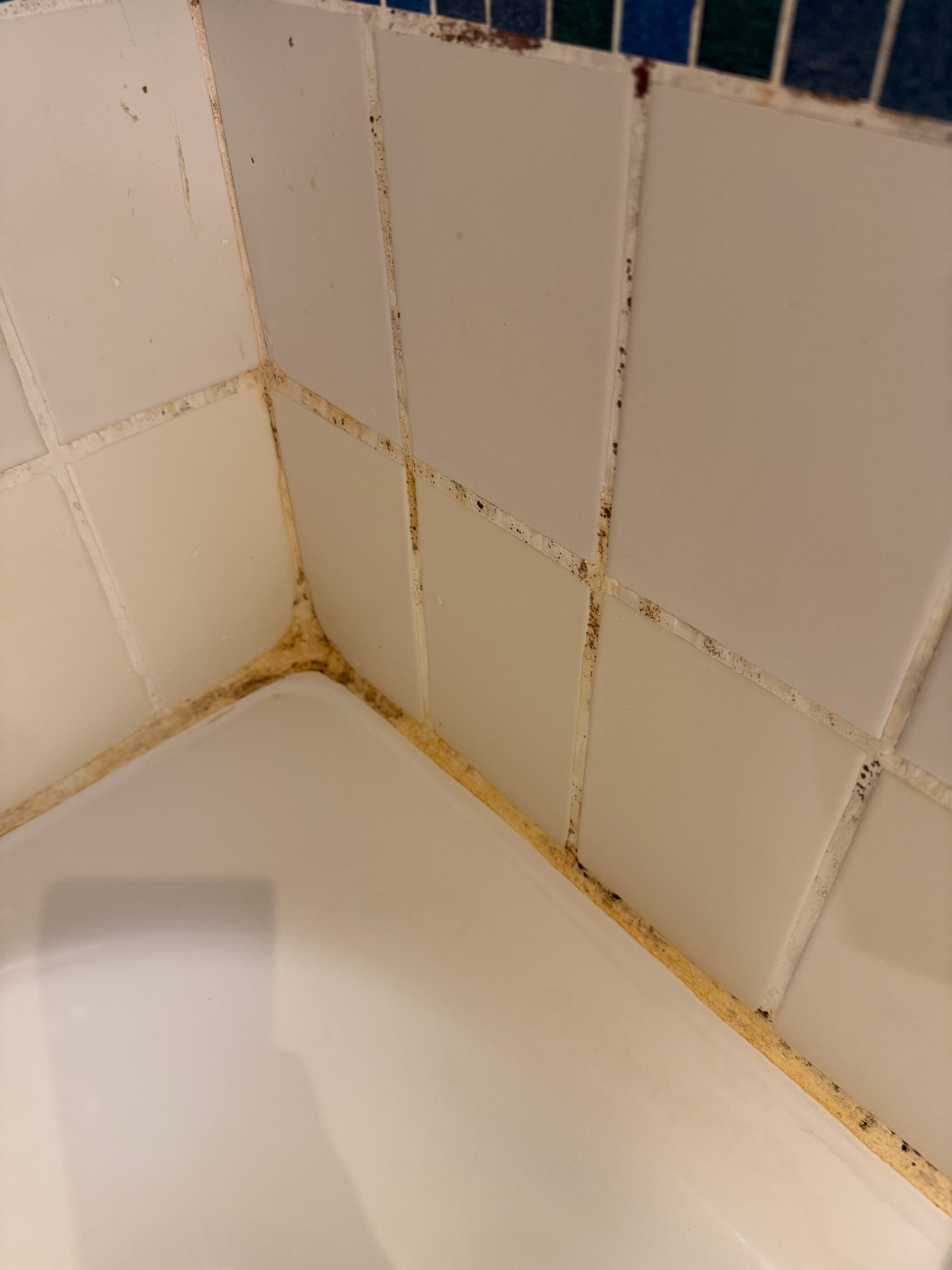 死海瑞享度假村及水疗中心-浴室