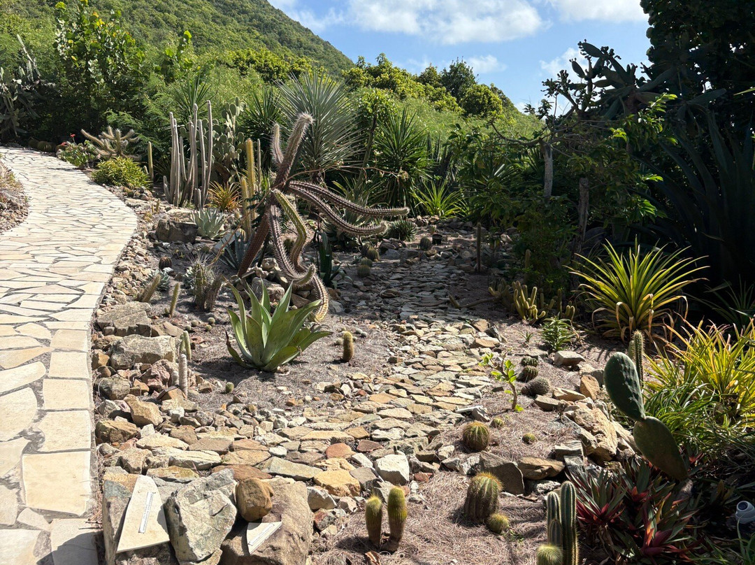 Jardin Botanique du Desert-La Desirade必去景点