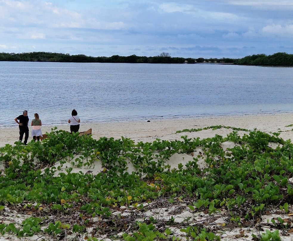 Les Trois Baies-迪亚哥苏亚瑞必去景点