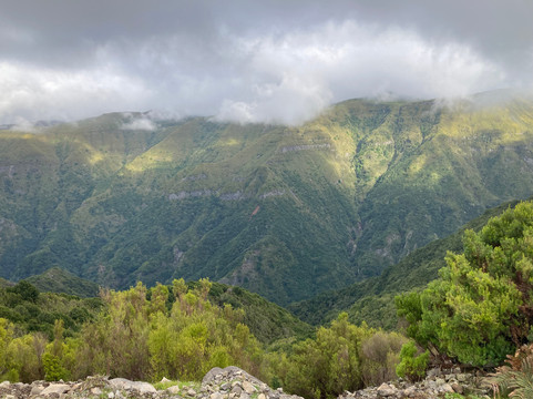 SafariCo-马德拉群岛必去景点
