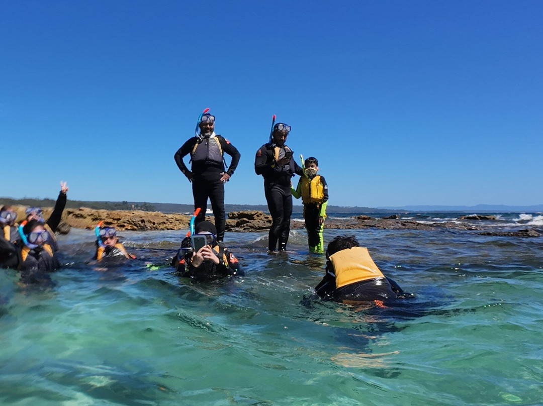 Jervis Bay Kayak & Paddlesports Co-赫斯基森必去景点