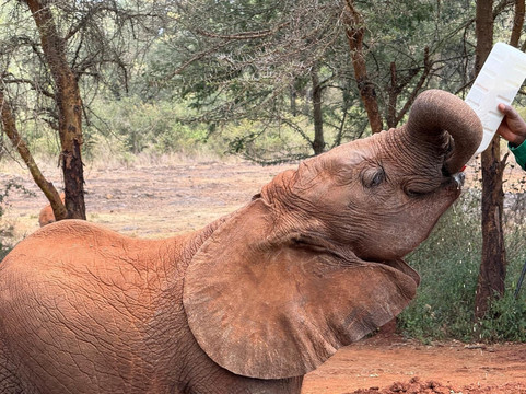 Steri Tours and Travel-内罗毕必去景点