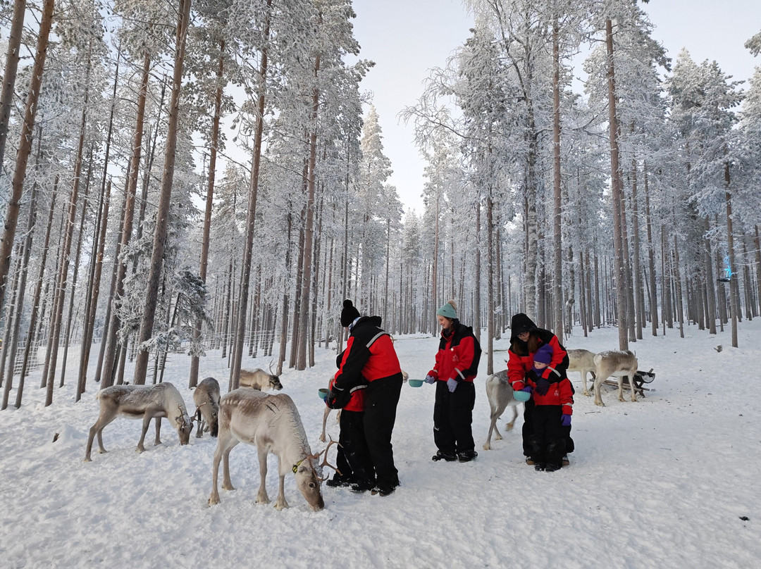 Eanan Levi Tours-Levi必去景点