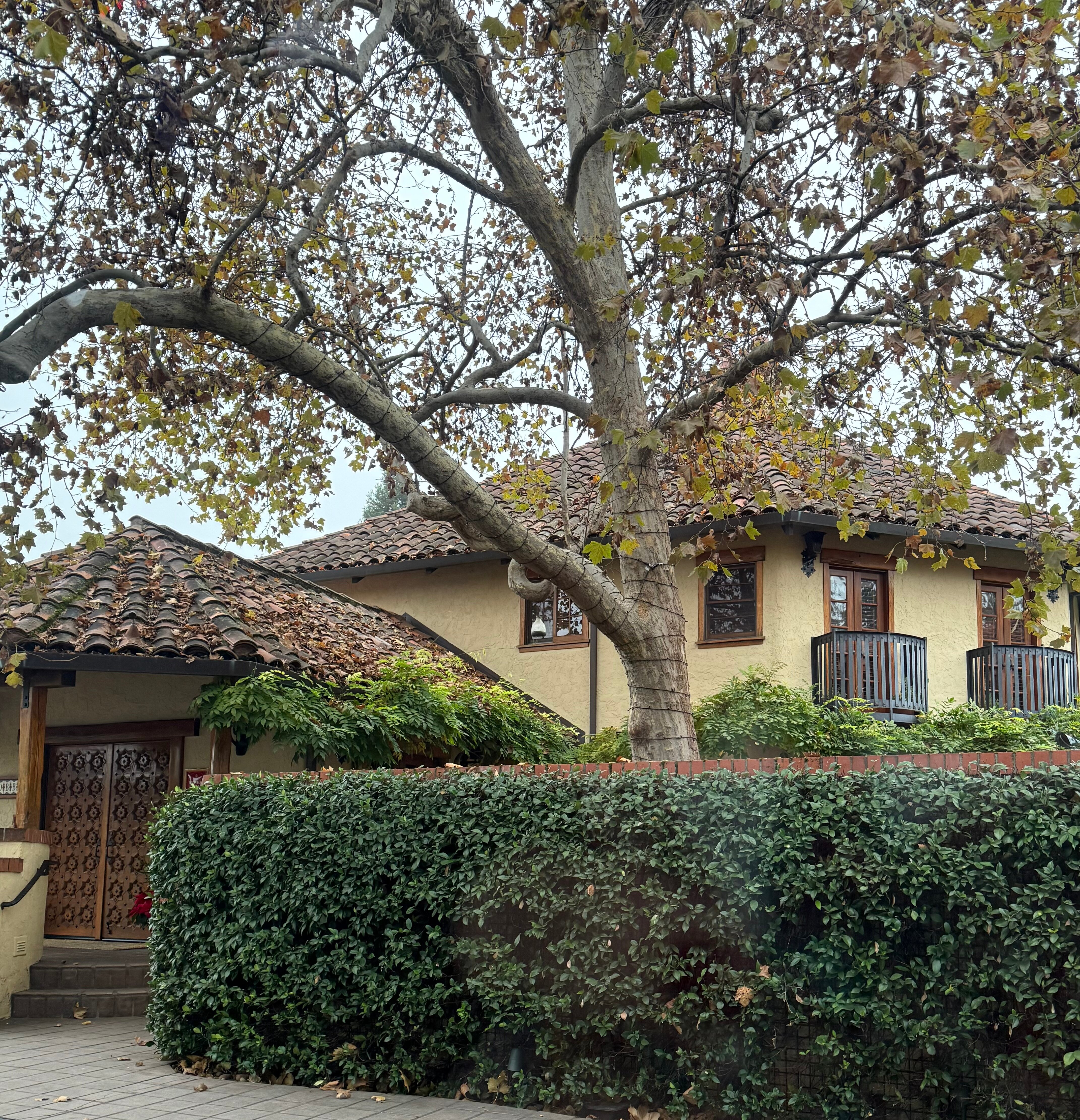 Rancho Caymus Inn-浴室