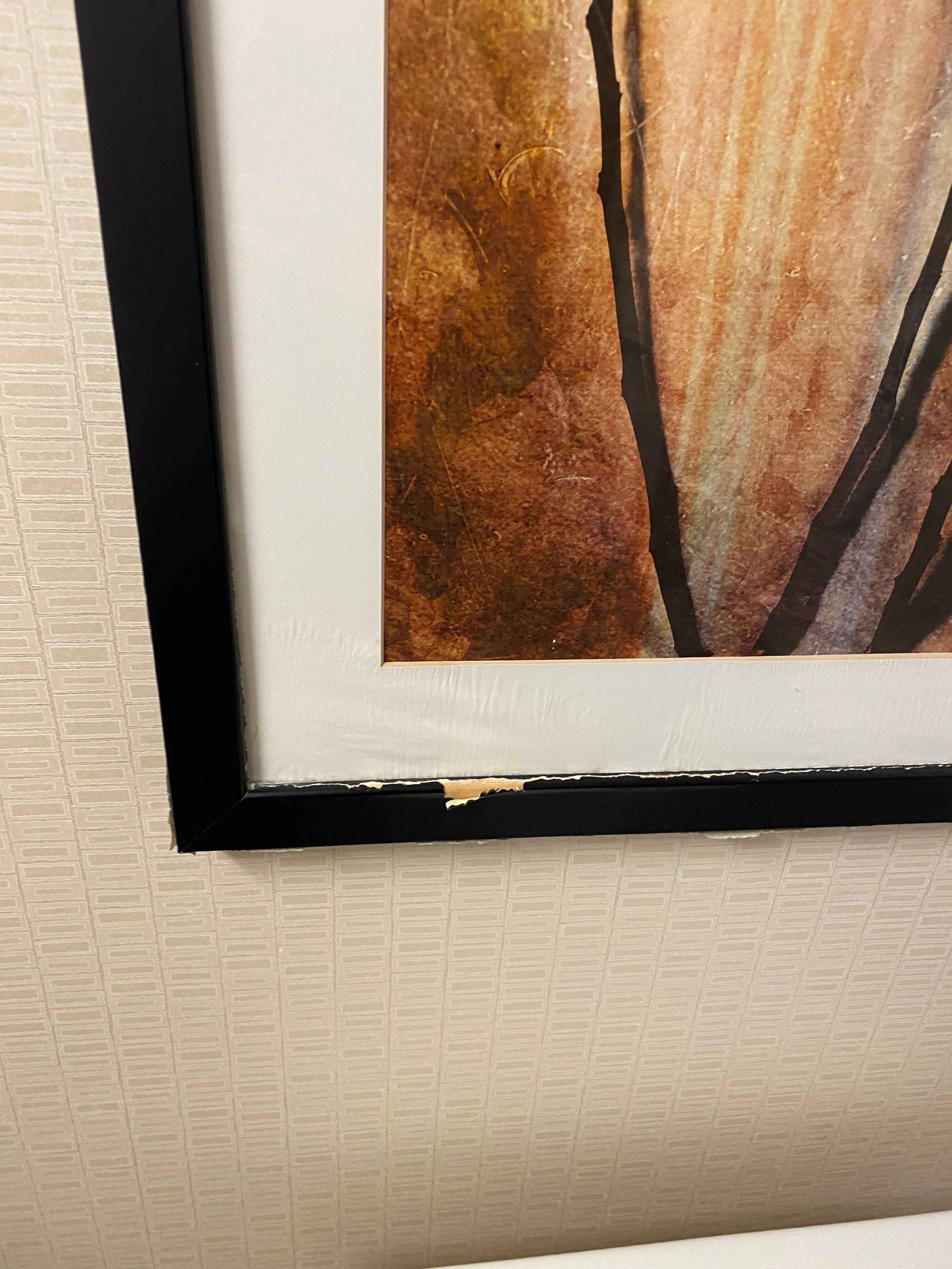 Detroit Metro Airport Marriott-官方