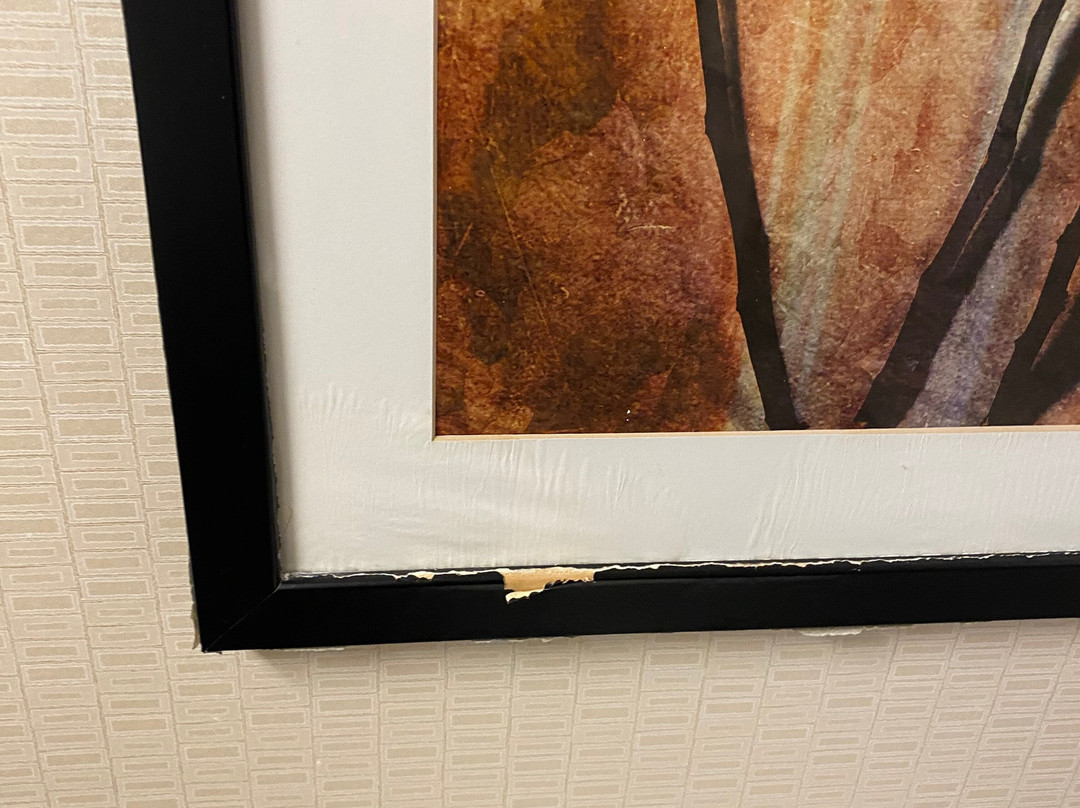 Detroit Metro Airport Marriott主图