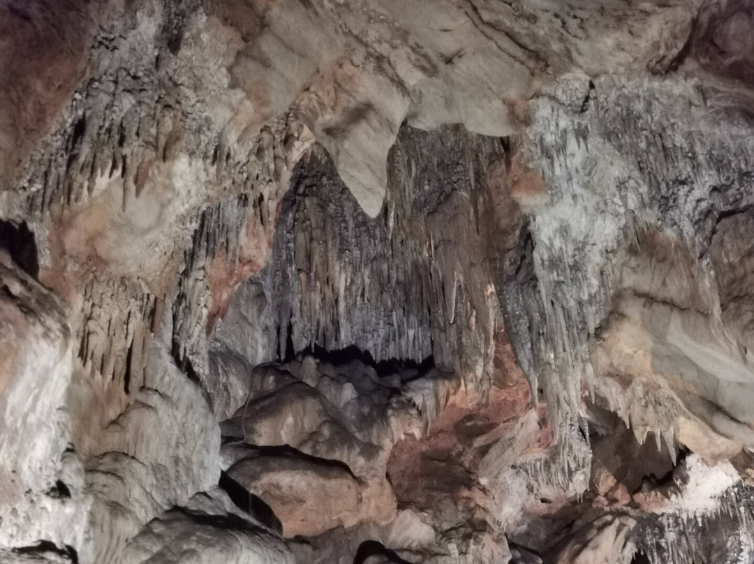 Buchan Caves Reserve-Buchan必去景点