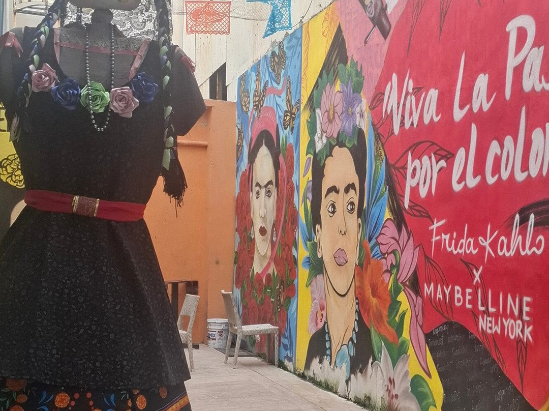 Museo Frida Kahlo-普拉亚德尔卡曼必去景点