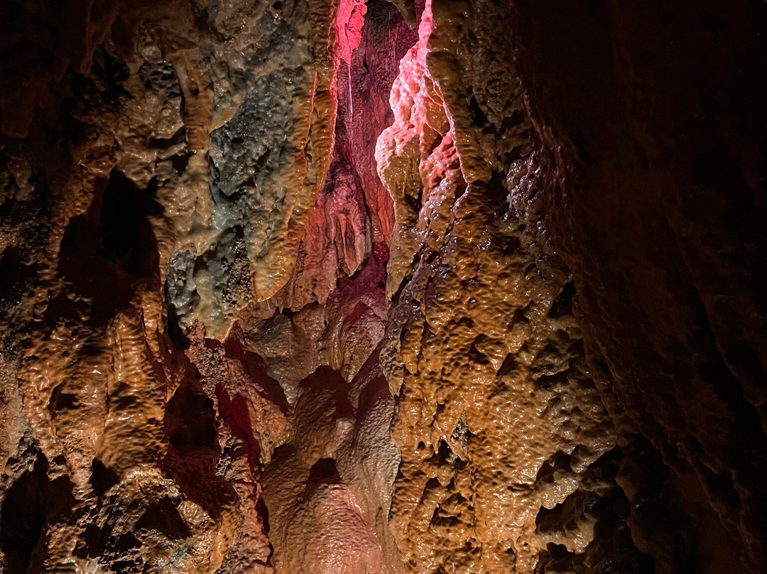 Grutas de Mira de Aire-Mira de Aire必去景点