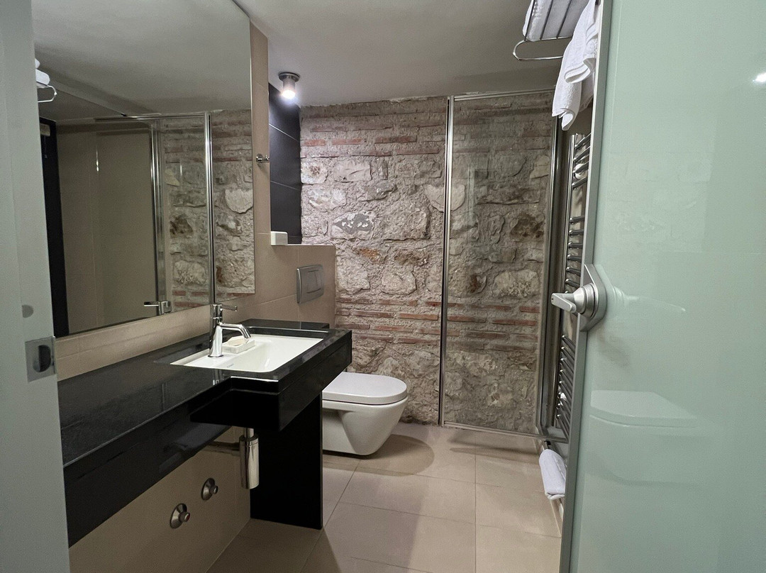 Hotel Vestibul Palace主图