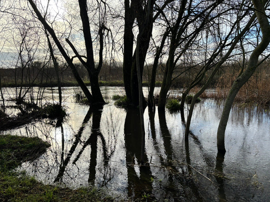 Sculpture By The Lakes-多切斯特必去景点