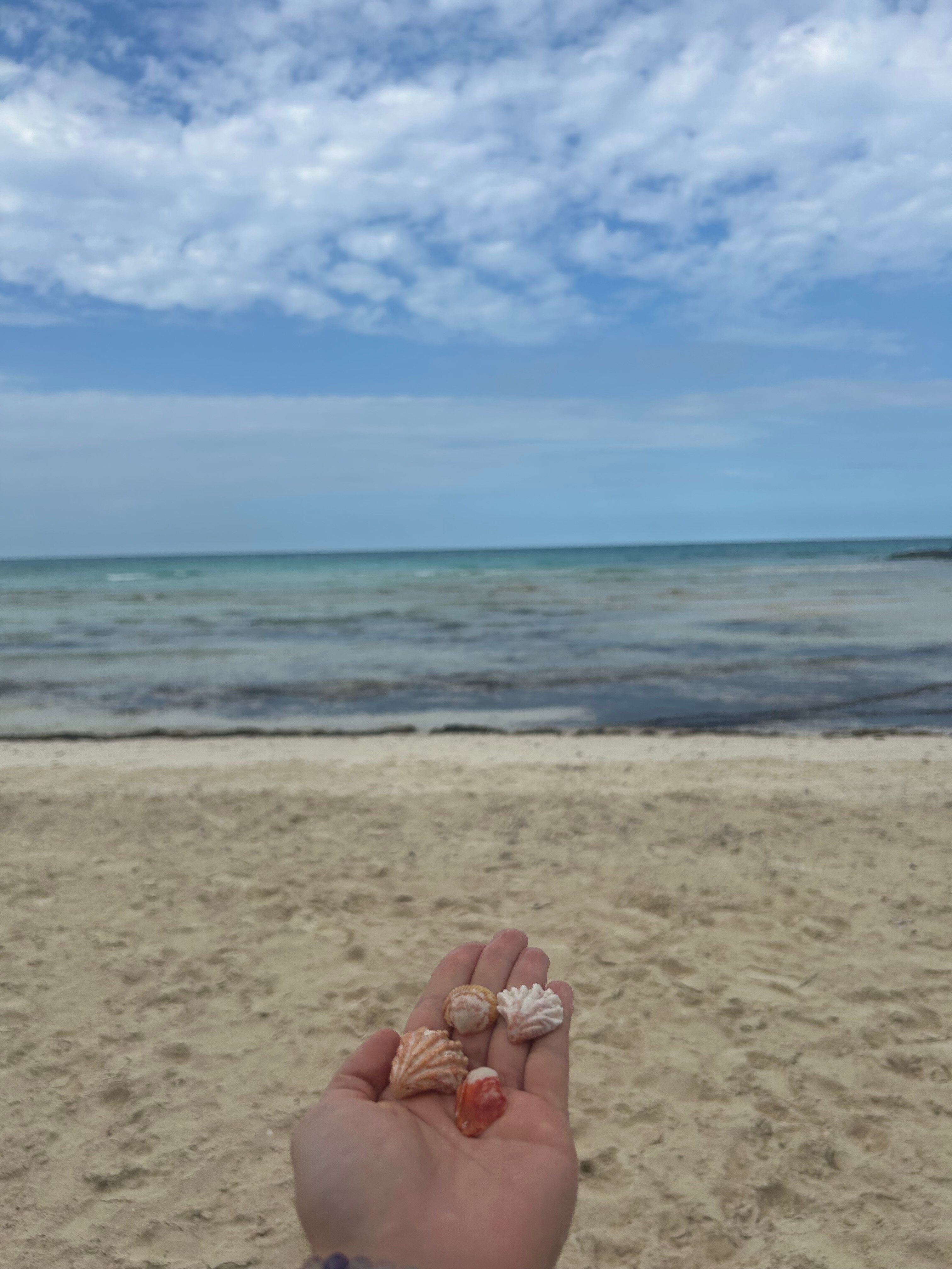 Sol Cayo Coco-官方