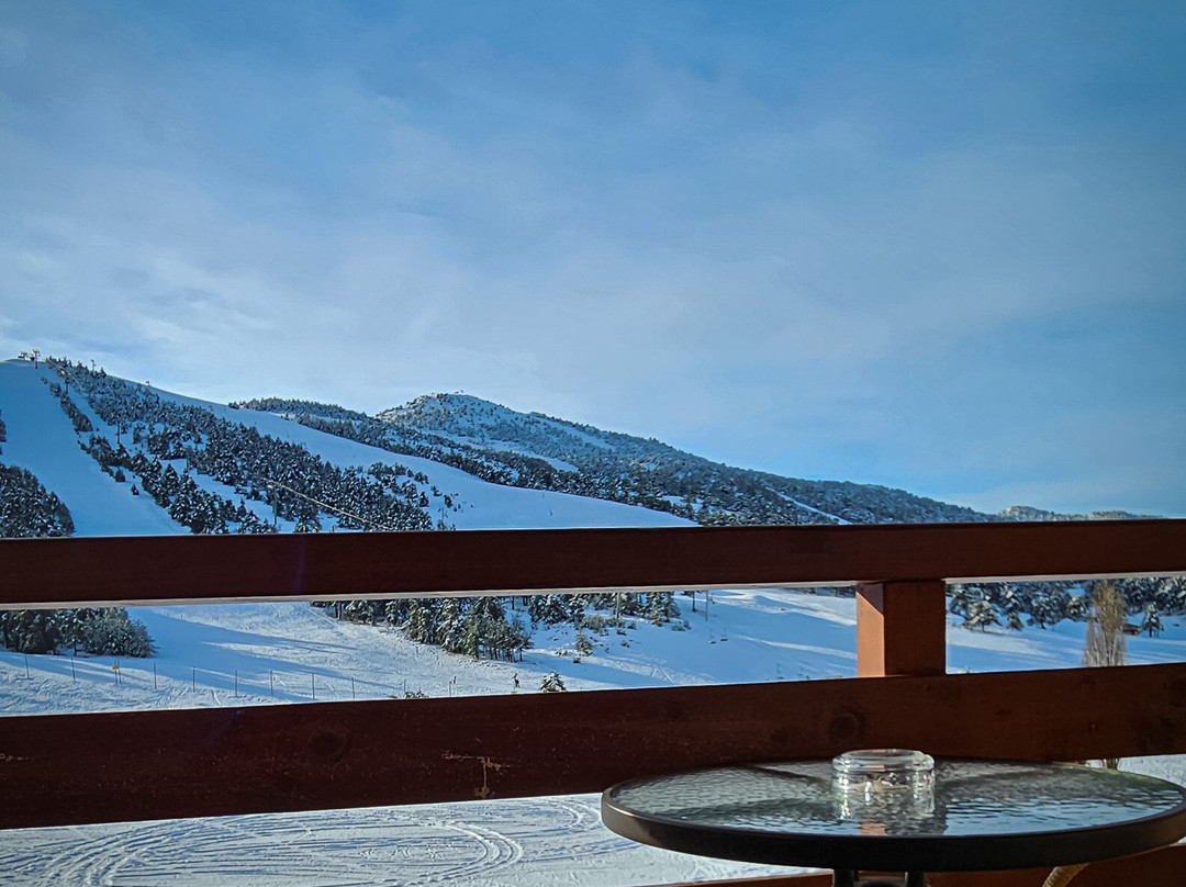 Auberge Alpina主图