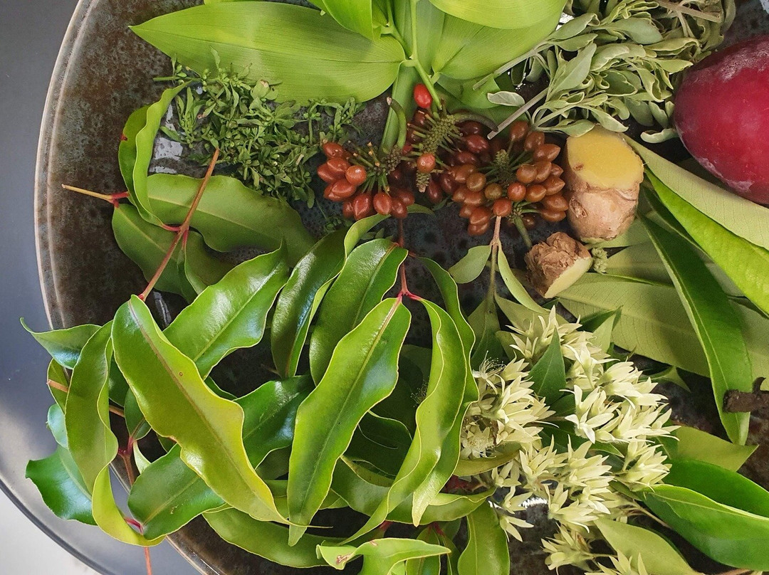 My Dilly Bag-Forest Glen必去景点