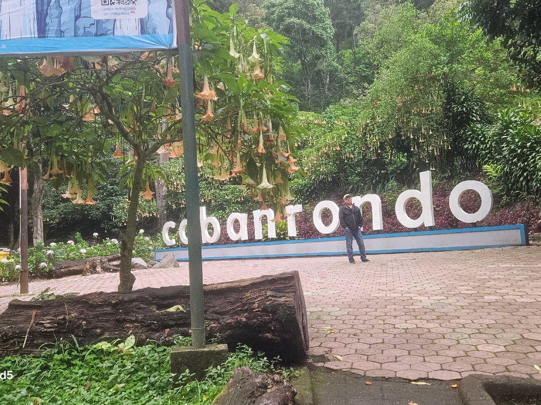 Coban Rondo Waterfall-Krajan必去景点