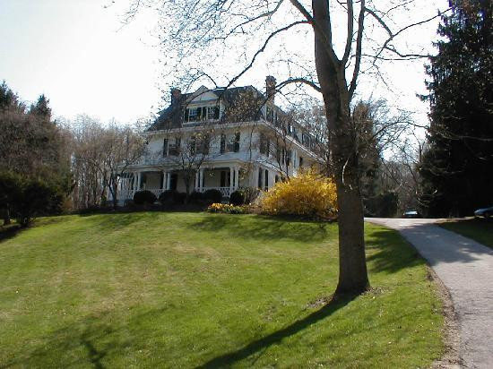 The Wilderness主图