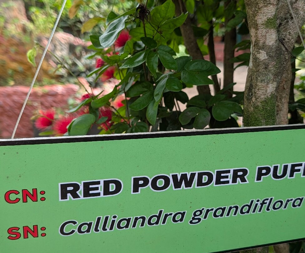 Palawan Butterfly Ecological Garden and Tribal Village-公主港必去景点