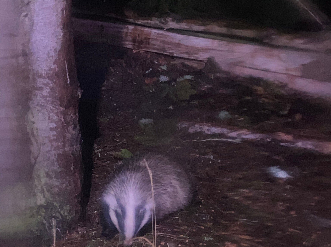 Speyside Wildlife-阿维莫尔必去景点