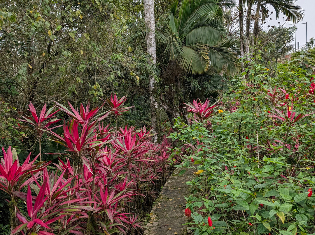 Teleferico Puerto Plata Cable Car-普拉塔港必去景点