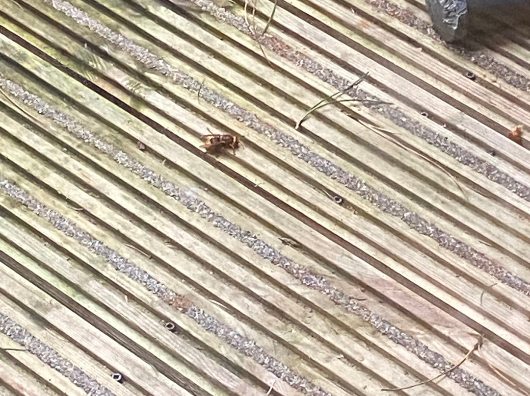 Delamere Forest-Delamere必去景点