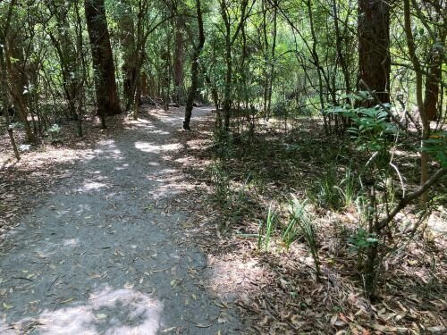 Murrays Beach-杰尔维斯湾必去景点