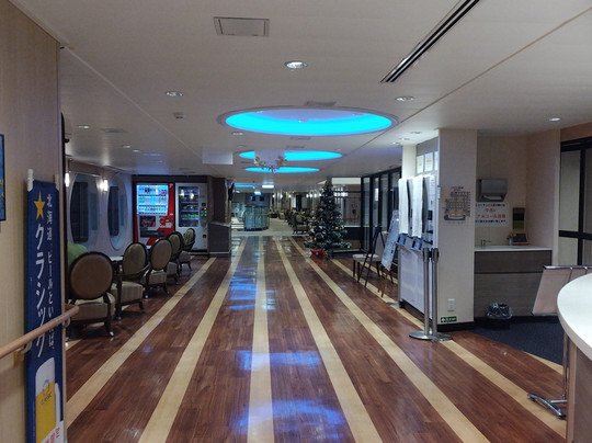 Mol Ferry Sunflower-苫小牧市必去景点