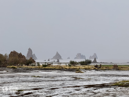 Lake Abbe-Dikhil Region必去景点
