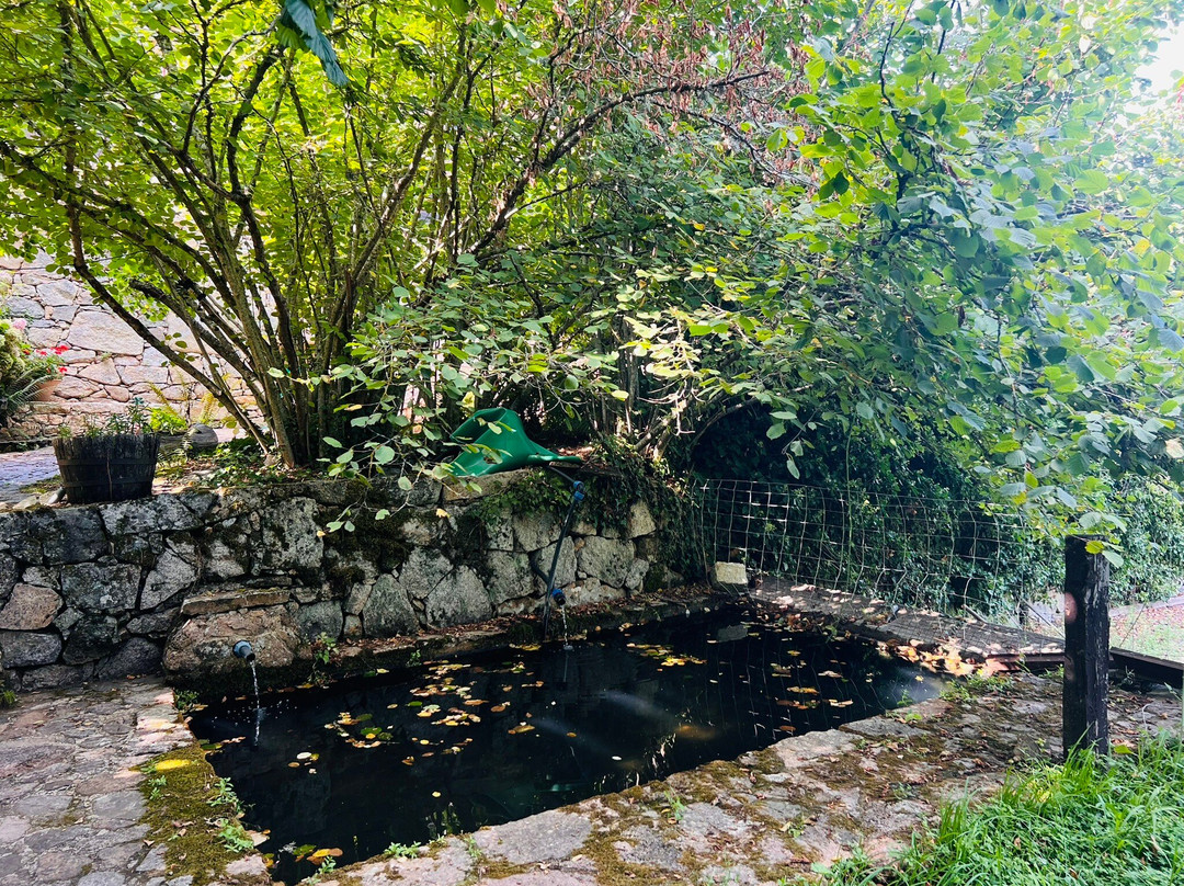 Agriturismo Tuluschene