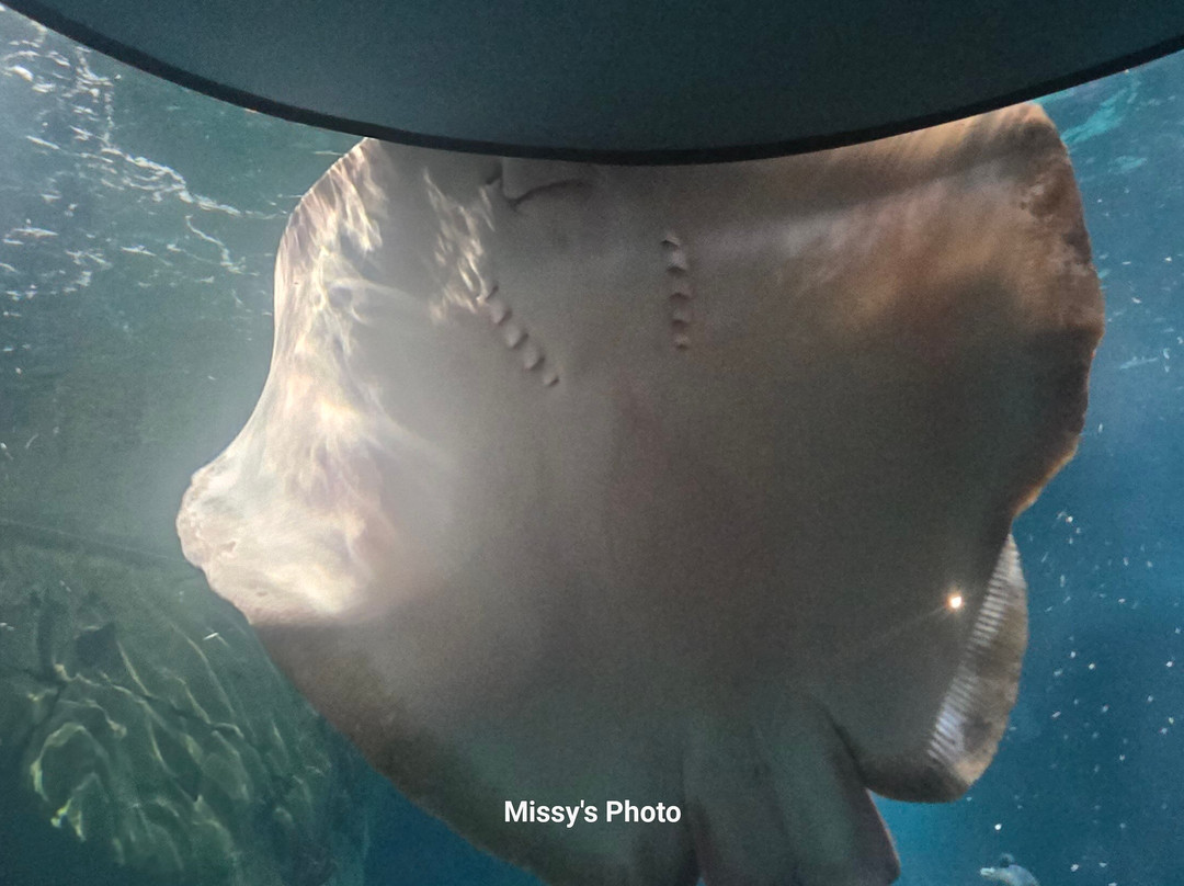 Travelodge Plymouth主图