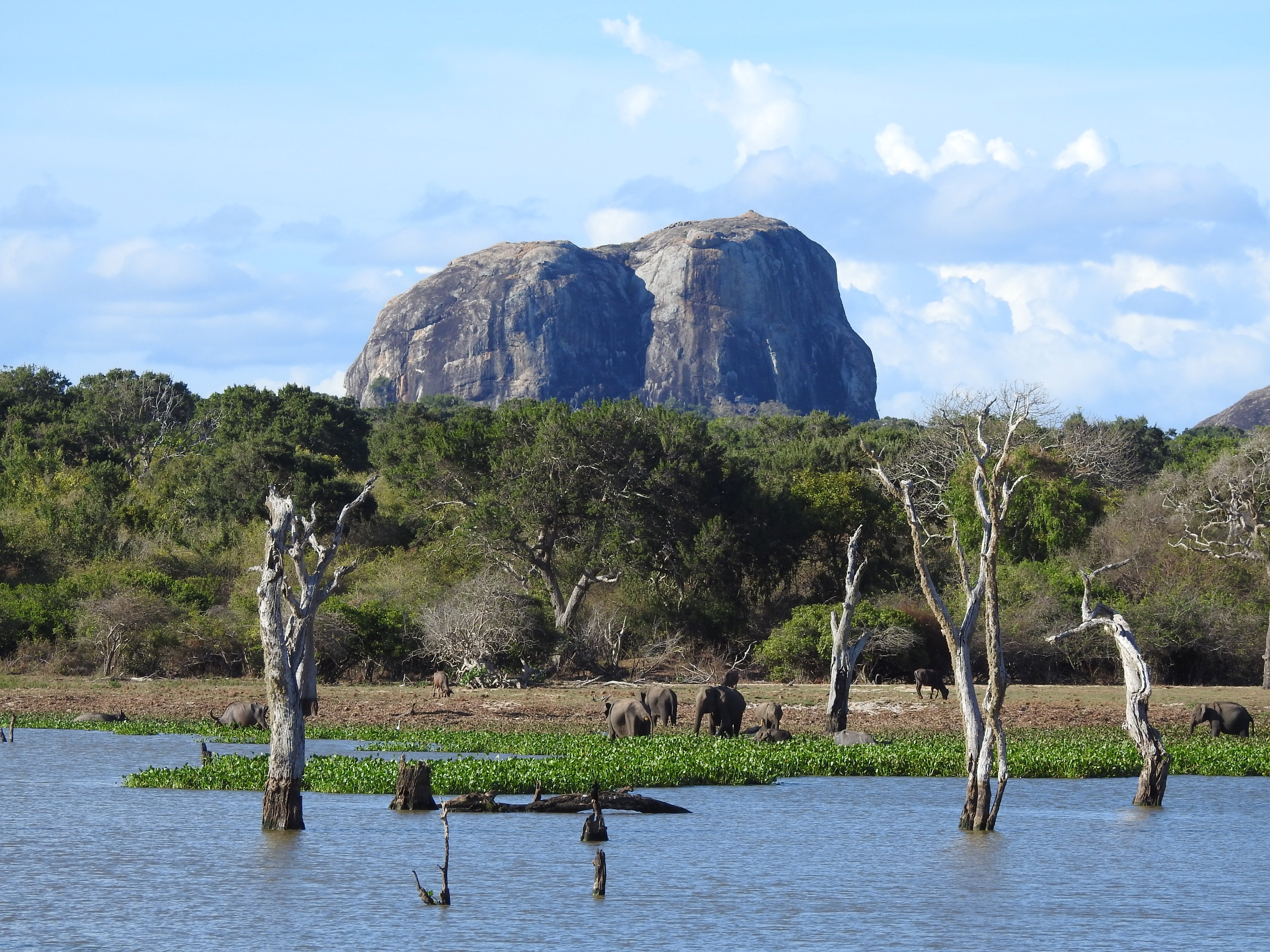 Uga Chena Huts-官方