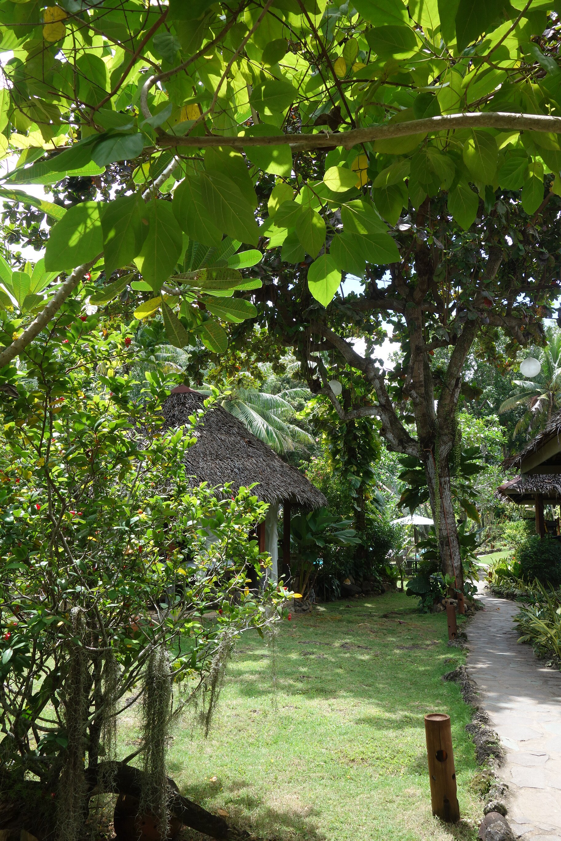 绿洲度假村酒店-官方