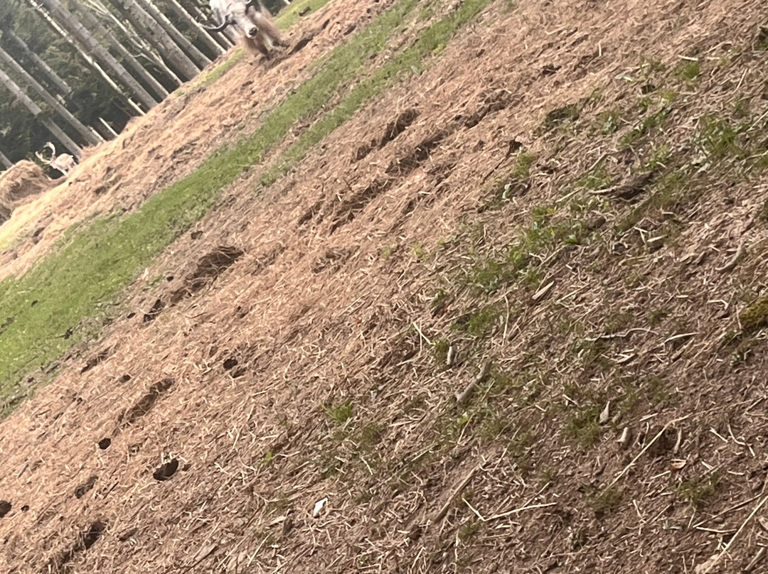 Oasi Delle Piane-Lama Mocogno必去景点