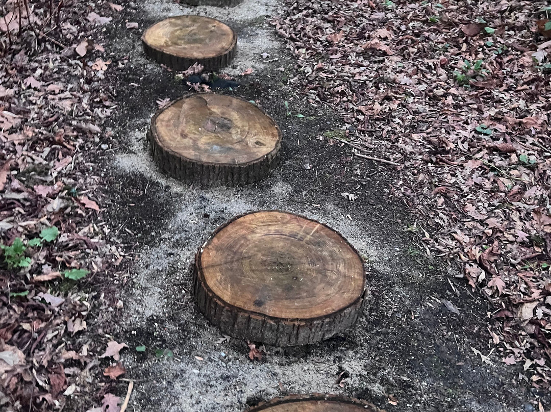 Green Island Gardens-Ardleigh必去景点