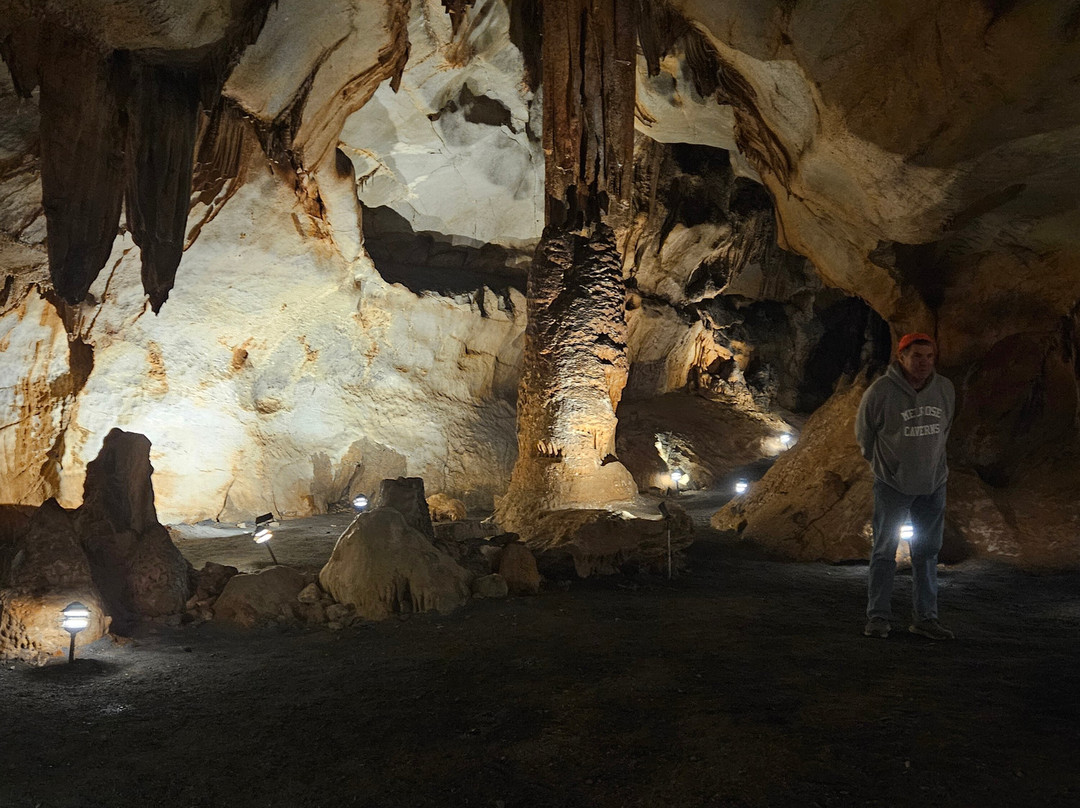 Melrose Caverns-哈里森堡必去景点