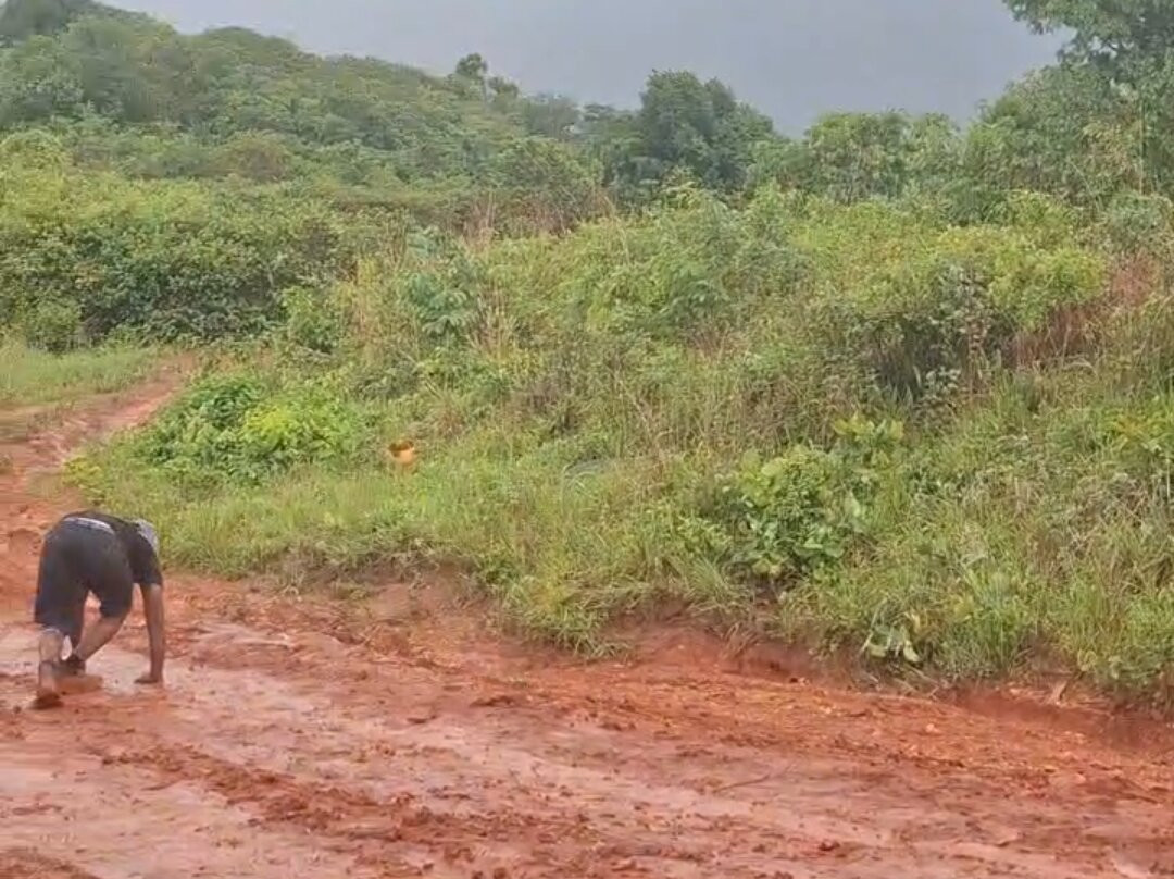 Gairezi River-尼扬加必去景点