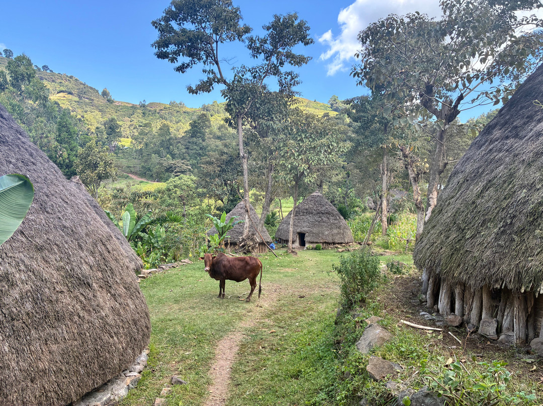 Tarik Rift Valley Tour-Arba Minch必去景点