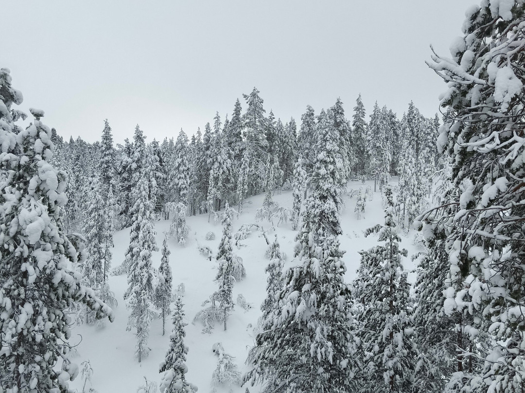 诺德俱乐部户外之旅-伊瓦洛必去景点