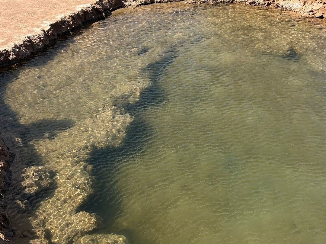Medoviaje Dakhla-达赫拉必去景点