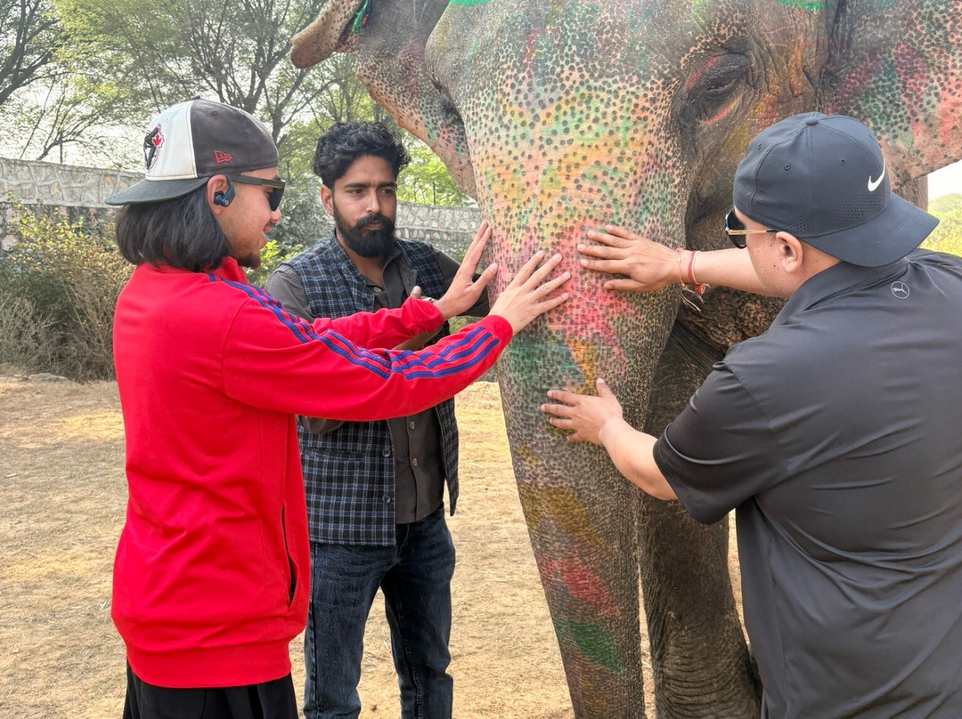 Elefanjoy Elephant Sanctuary-斋蒲尔必去景点