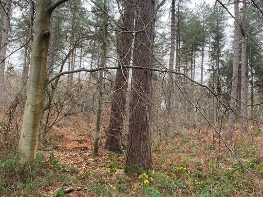 Delamere Forest-Delamere必去景点