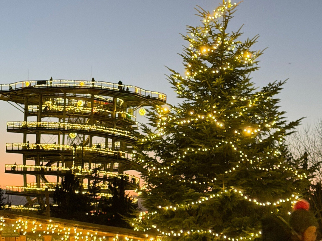 Waldwipfelweg-圣恩尔马尔必去景点