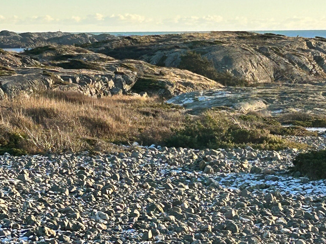 Molen-拉尔维克必去景点