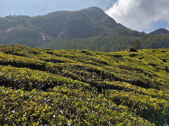 Ghumega India-新德里必去景点