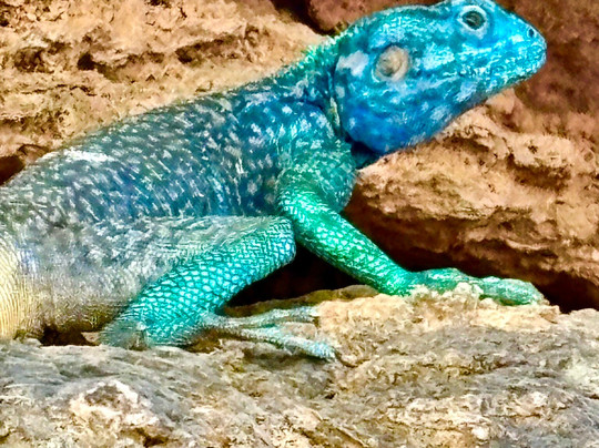 Salalah Explore Adventure Trips-塞拉莱必去景点